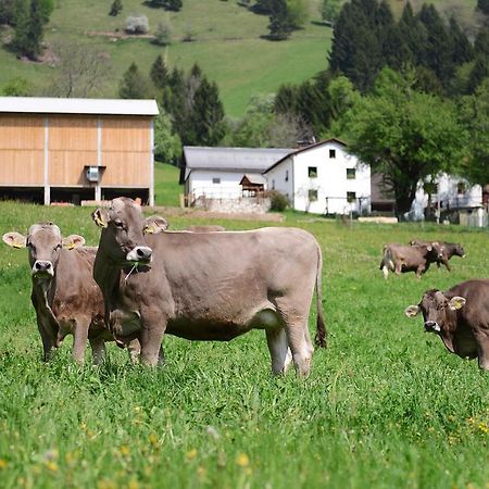 Ekoloska Turisticna Kmetija Pri Lovrcu Tolmin Bagian luar foto
